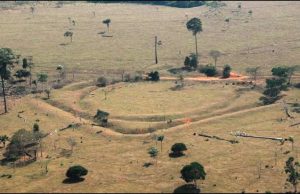 Parts of the Amazon thought uninhabited were actually home to up to a million people