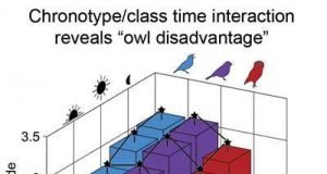 Poor grades tied to class times that dont match our biological clocks