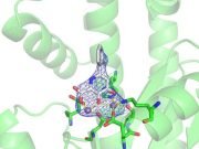 Progress toward a new flu treatment thanks to a small tweak