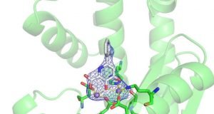 Progress toward a new flu treatment thanks to a small tweak