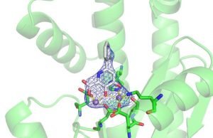 Progress toward a new flu treatment, thanks to a small tweak Progress toward a new flu treatment thanks to a small tweak