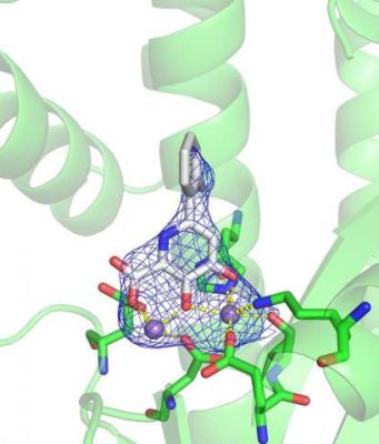 Progress toward a new flu treatment thanks to a small tweak