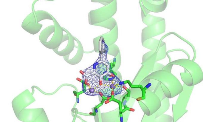 Progress toward a new flu treatment, thanks to a small tweak Progress toward a new flu treatment thanks to a small tweak