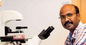 RNA based therapy cures lung cancer in mouse models