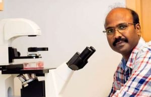 RNA-based therapy cures lung cancer in mouse models RNA based therapy cures lung cancer in mouse models