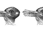 Research on optical illusion gives insight into how we perceive the world