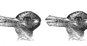 Research on optical illusion gives insight into how we perceive the world