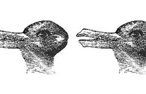 Research on optical illusion gives insight into how we perceive the world Research on optical illusion gives insight into how we perceive the world