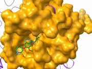 Researchers computationally find the needle in a haystack to treat rare diseases