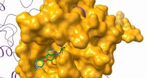 Researchers computationally find the needle in a haystack to treat rare diseases