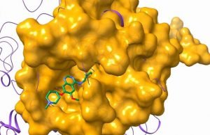 Researchers computationally find the needle in a haystack to treat rare diseases Researchers computationally find the needle in a haystack to treat rare diseases