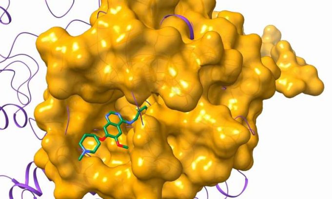 Researchers computationally find the needle in a haystack to treat rare diseases Researchers computationally find the needle in a haystack to treat rare diseases