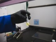 Researchers create a protein mat that can soak up pollution