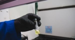 Researchers create a protein mat that can soak up pollution