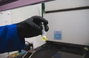 Researchers create a protein ‘mat’ that can soak up pollution Researchers create a protein mat that can soak up pollution