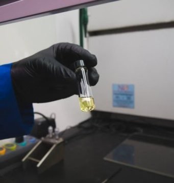 Researchers create a protein mat that can soak up pollution