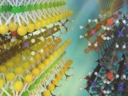 Researchers develop a new class of two dimensional materials