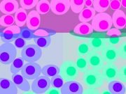 Researchers measure gene activity in single cells