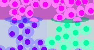 Researchers measure gene activity in single cells