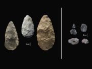 Scientists discover evidence of early human innovation pushing back evolutionary timeline