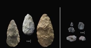 Scientists discover evidence of early human innovation pushing back evolutionary timeline