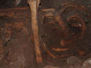 Scientists discover genomic ancestry of Stone Age North Africans from Morocco