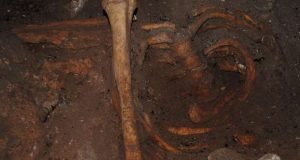 Scientists discover genomic ancestry of Stone Age North Africans from Morocco