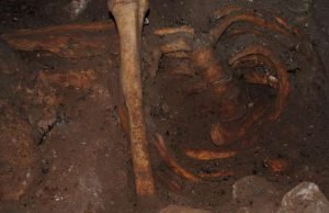 Scientists discover genomic ancestry of Stone Age North Africans from Morocco Scientists discover genomic ancestry of Stone Age North Africans from Morocco