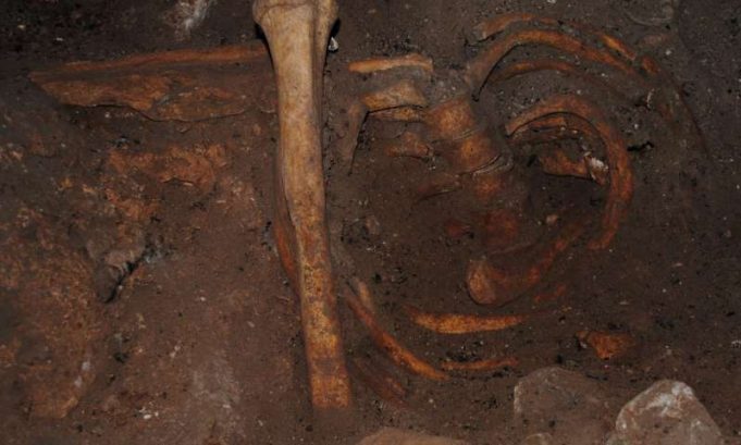 Scientists discover genomic ancestry of Stone Age North Africans from Morocco