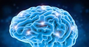 Slow steady waves keep brain humming