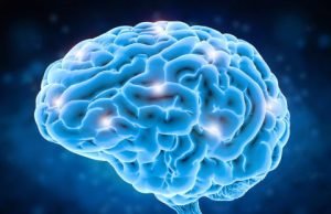 Slow steady waves keep brain humming