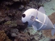 Soft robotic fish swims alongside real ones in coral reefs