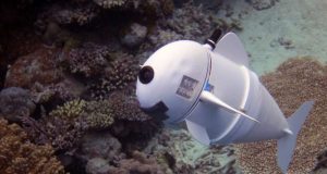Soft robotic fish swims alongside real ones in coral reefs