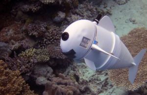 Soft robotic fish swims alongside real ones in coral reefs