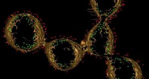 Strings of electron carrying proteins may hold the secret to electric bacteria