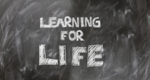 Studies point to smarter way to learn procedures solve problems