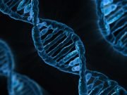 Study finds that genes play a role in empathy