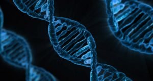 Study finds that genes play a role in empathy