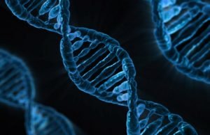Study finds that genes play a role in empathy Study finds that genes play a role in empathy
