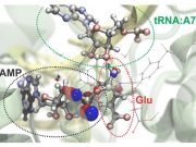 Team brings subatomic resolution to computational microscope