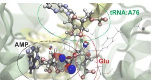 Team brings subatomic resolution to computational microscope
