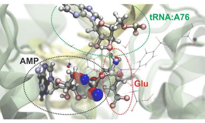 Team brings subatomic resolution to ‘computational microscope’ Team brings subatomic resolution to computational microscope