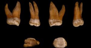 The genomes of five late Neandertals provide insights into Neandertal population history
