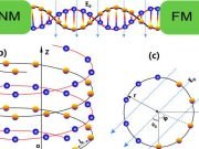 Thermally driven spin current in DNA
