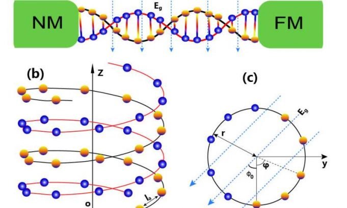 Thermally driven spin current in DNA Thermally driven spin current in DNA