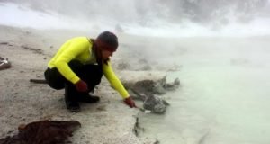 Virus that lives in Yellowstone hot springs described