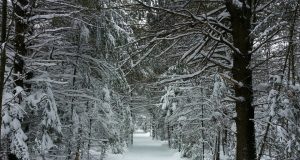 Warm Arctic means colder snowier winters in northeastern US