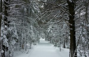Warm Arctic means colder, snowier winters in northeastern US Warm Arctic means colder snowier winters in northeastern US
