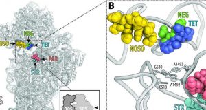 A new class of antibiotics to combat drug resistance