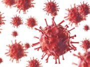 Ancient origins of viruses discovered Ancient origins of viruses discovered